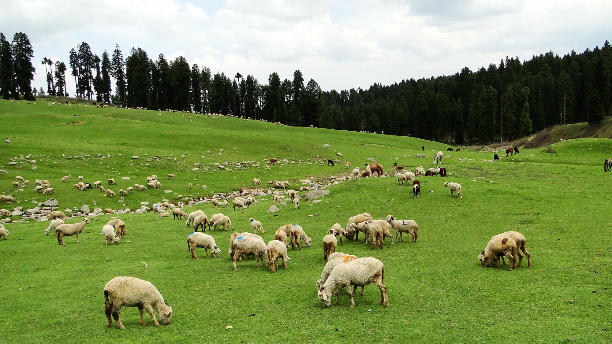 Doodhpathri — Kashmir